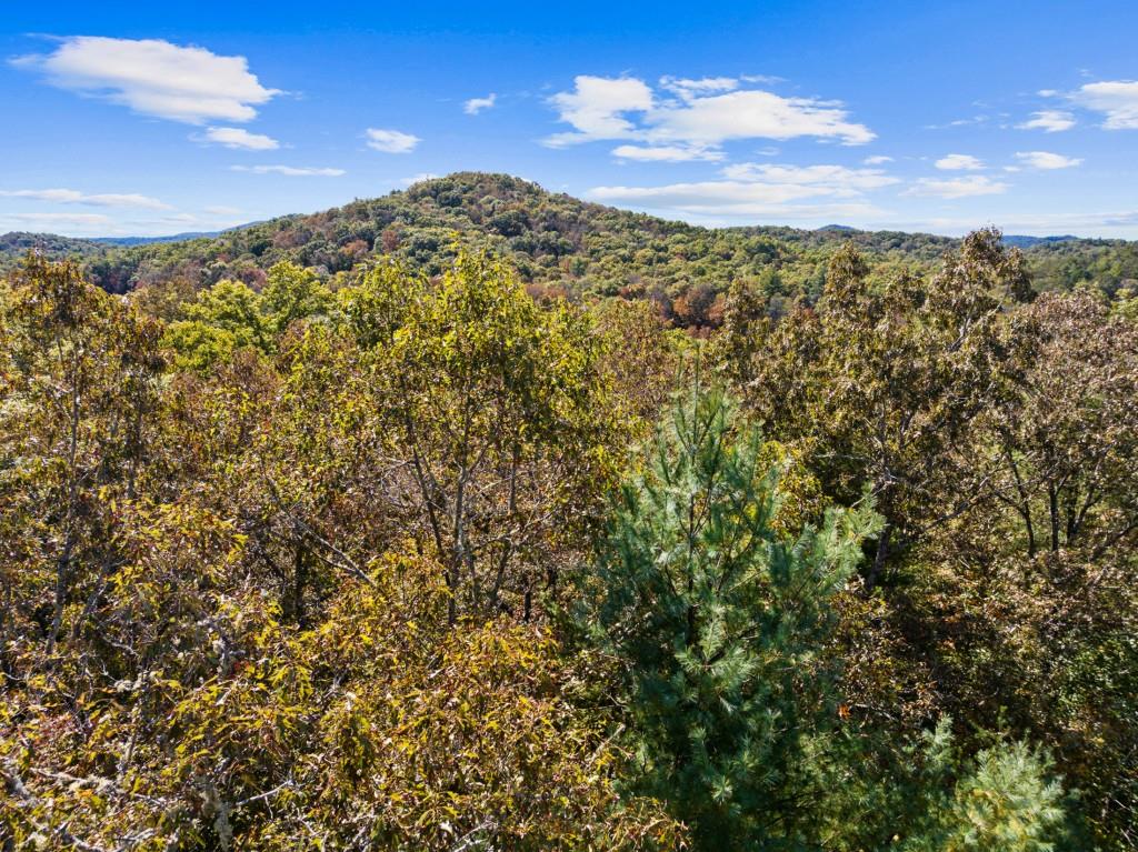 7856555 Property Photo 60