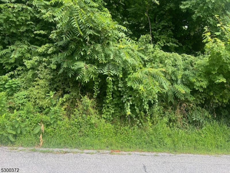 Arrowhead Dr Property Photo 1