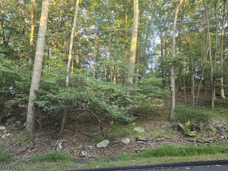 Mountain Trl Property Photo 1