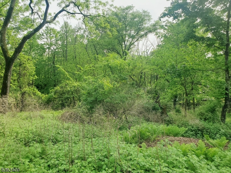 Beavers Street Property Photo 1