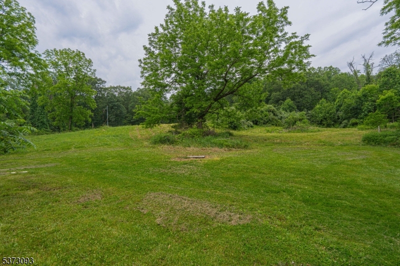 Mountain Lake Rd Property Photo 4