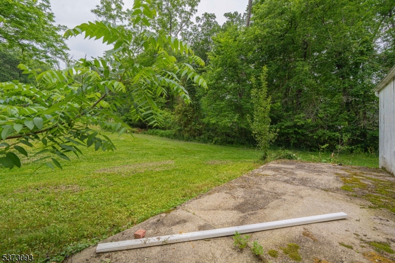 Mountain Lake Rd Property Photo 7