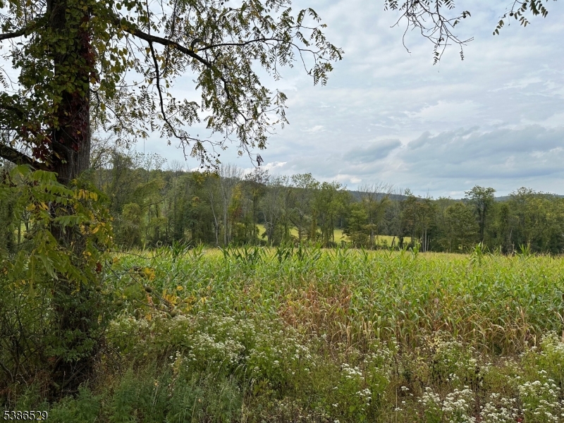 Mountain Lake Rd Property Photo 1