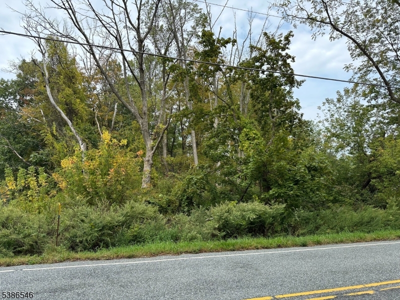 Mountain Lake Rd Property Photo 1