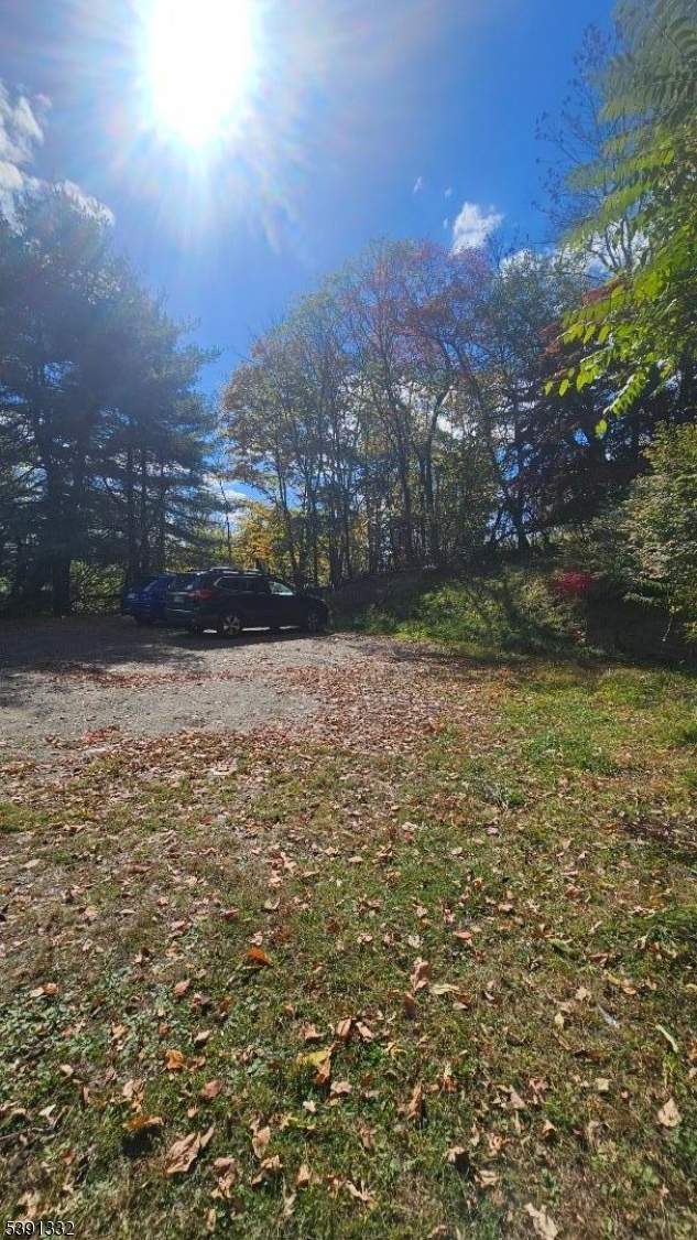 283 State Rt 284 Property Photo 19
