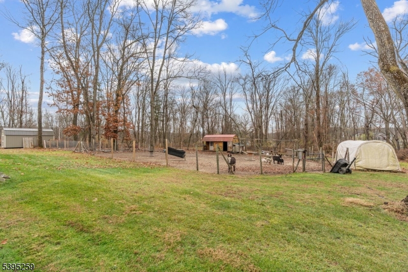 3 Volker Ln Property Photo 37
