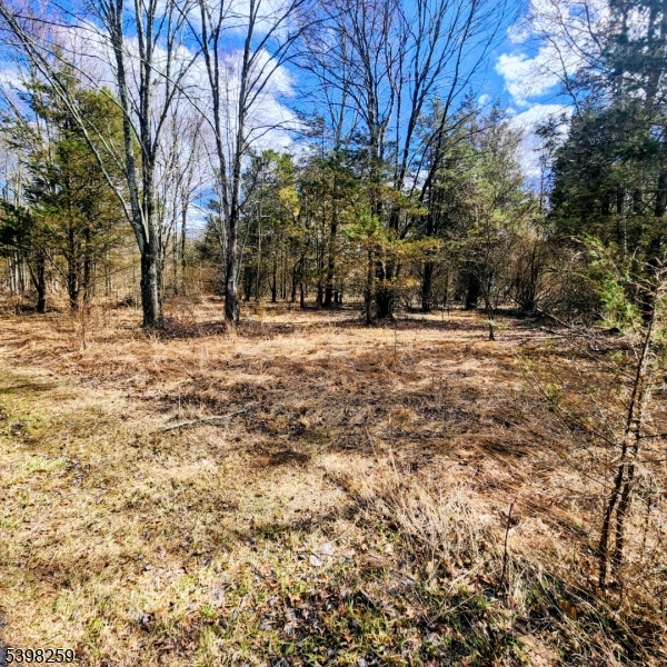 Shrope Ln Property Photo 2