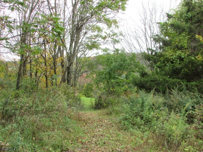 Clark Road Property Photo 6