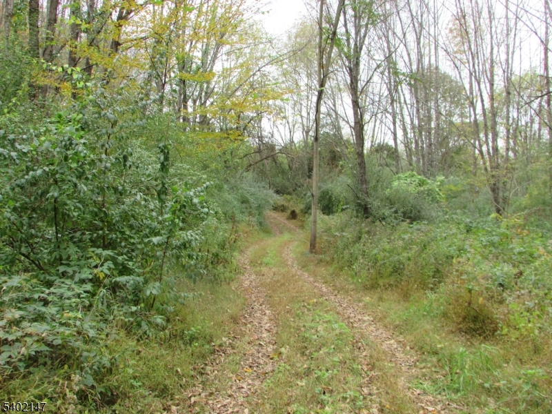Clark Road Property Photo 10
