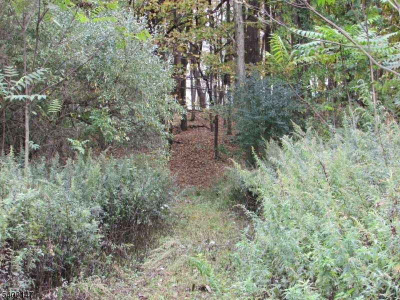 Clark Road Property Photo 11