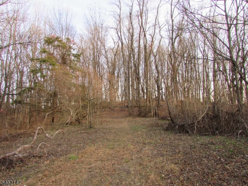 Clark Road Property Photo 13