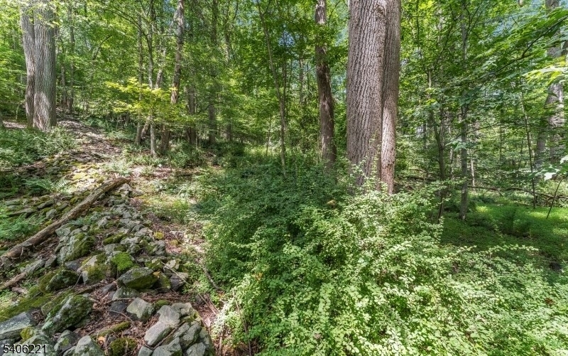 Sweet Hollow Rd Property Photo 1