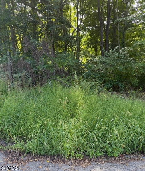 Pine Dr Property Photo 2