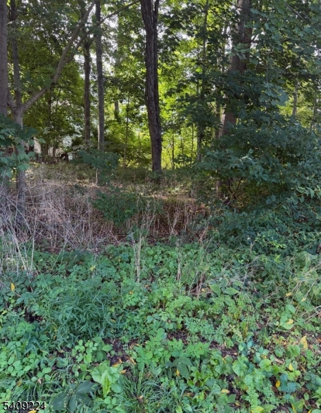 Pine Dr Property Photo 3