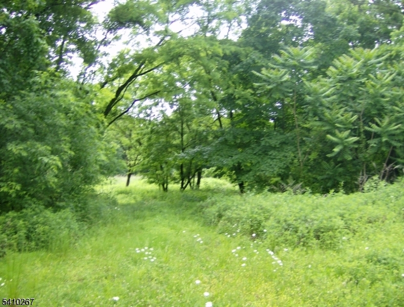 Passaic Valley Rd Property Photo 1