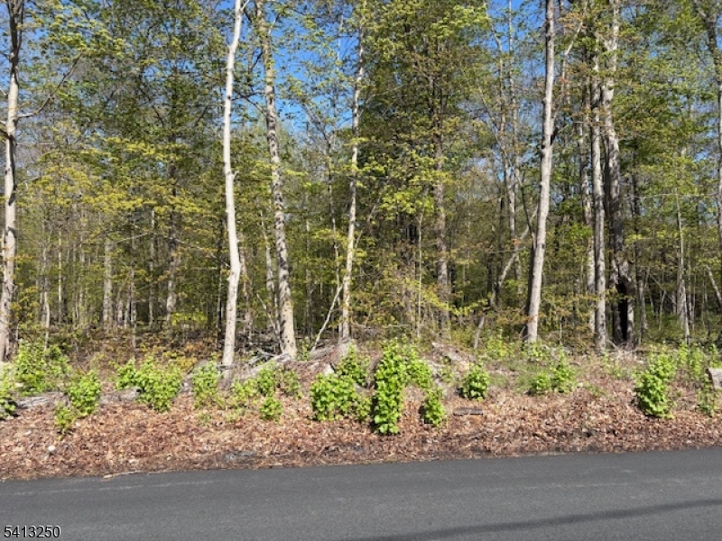 Schoolhouse Rd Property Photo 1