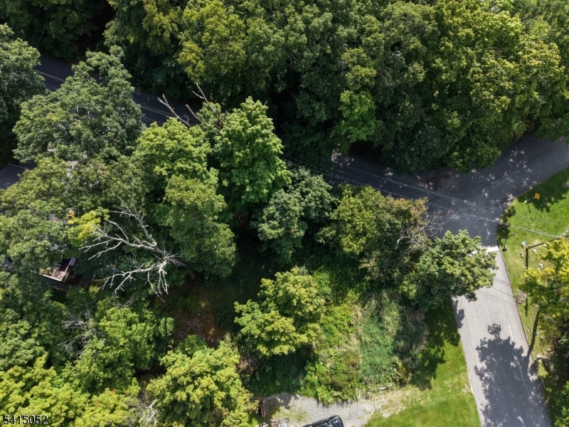 Alpine Trl Property Photo 3