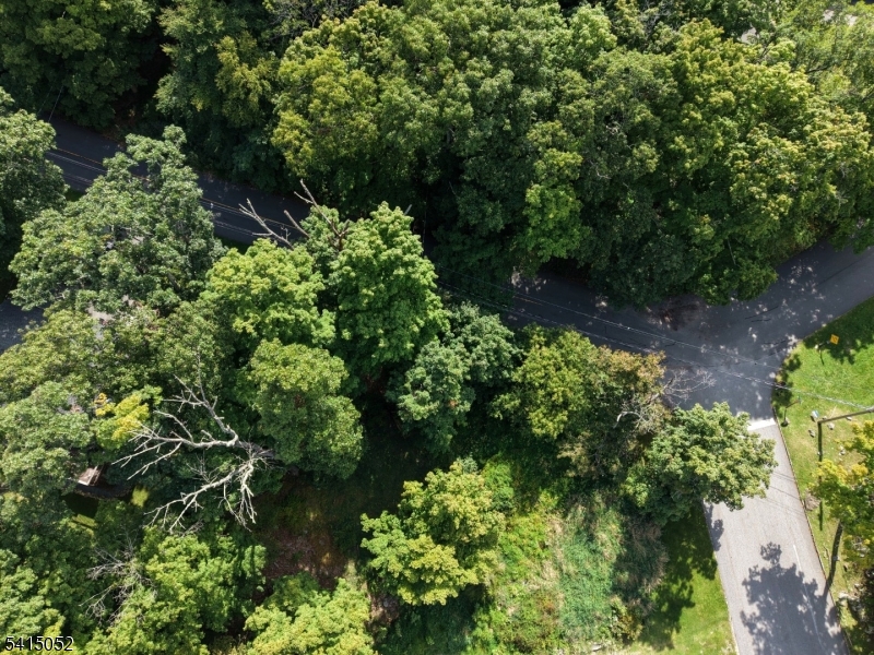 Alpine Trl Property Photo 6
