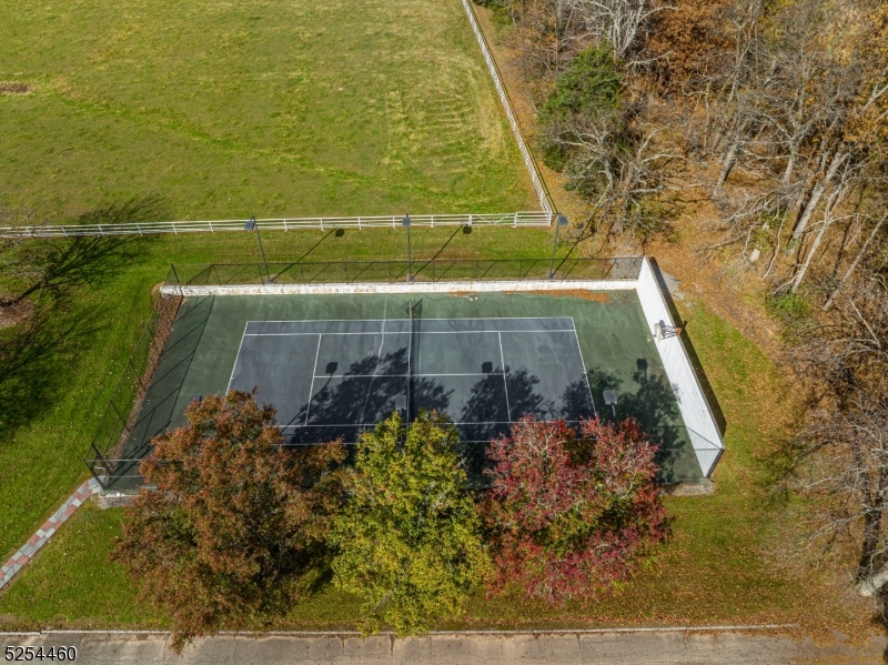 259 County Road 519 Property Photo 6