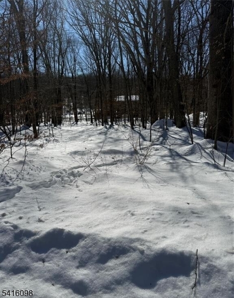 Saw Mill Rd Property Photo 3