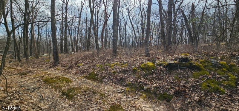 Upper Hibernia Rd Property Photo 1