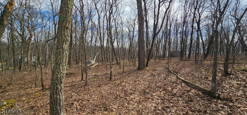 Upper Hibernia Rd Property Photo 4
