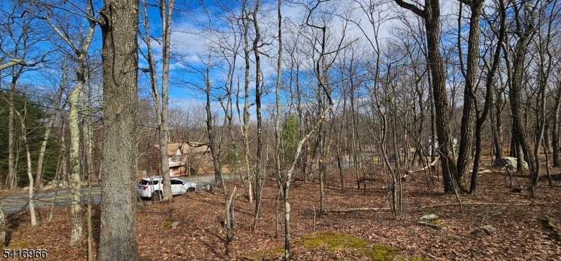 Upper Hibernia Rd Property Photo 5