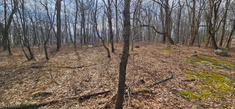 Upper Hibernia Rd Property Photo 7