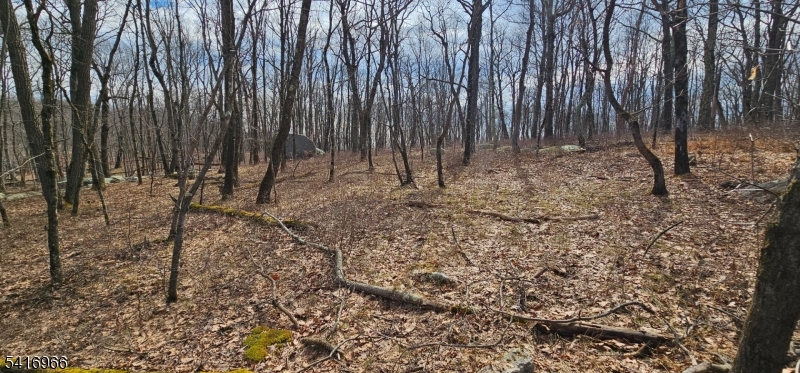 Upper Hibernia Rd Property Photo 8