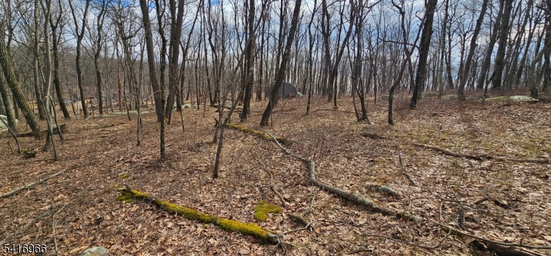 Upper Hibernia Rd Property Photo 9