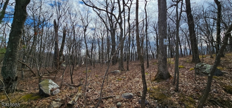 Upper Hibernia Rd Property Photo 10