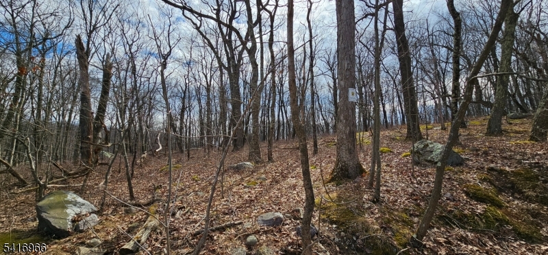 Upper Hibernia Rd Property Photo 12
