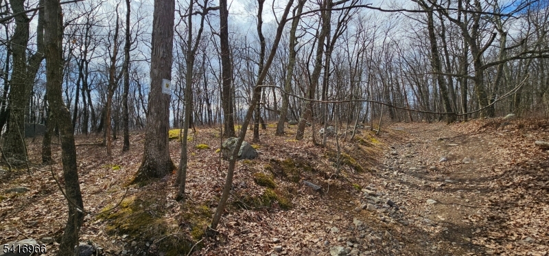 Upper Hibernia Rd Property Photo 13