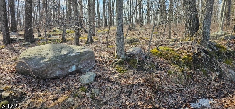 Upper Hibernia Rd Property Photo 15