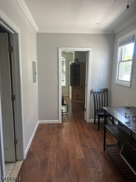 571 Bloomfield Ave Property Photo 16