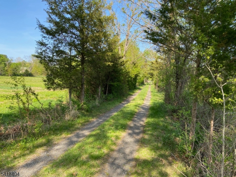 Fairview Road Property Photo 3