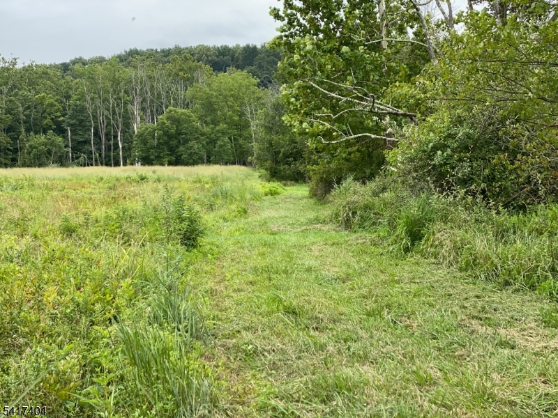 Fairview Road Property Photo 5
