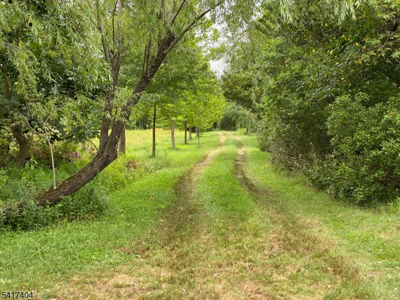 Fairview Road Property Photo 6