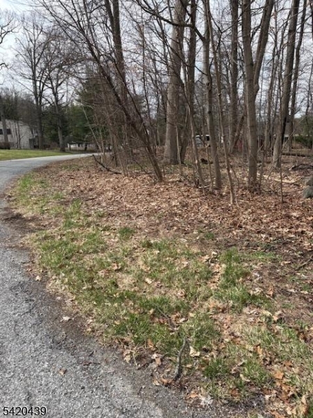 Wood Dale Court Property Photo 4