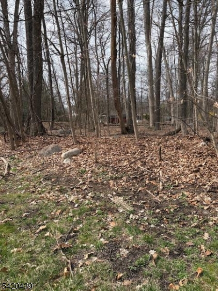 Wood Dale Court Property Photo 6
