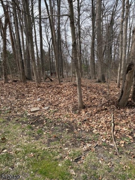Wood Dale Court Property Photo 8