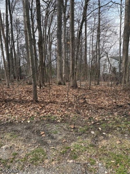 Wood Dale Court Property Photo 9