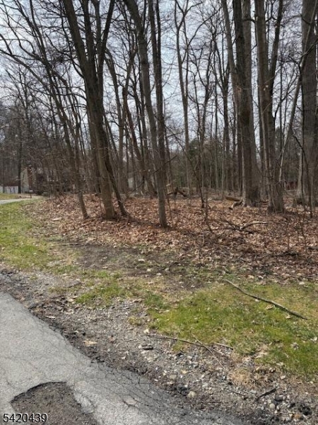 Wood Dale Court Property Photo 10