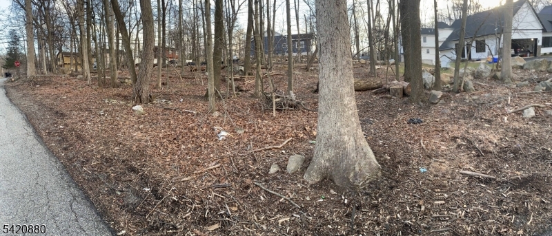 Mountain Rd Property Photo 1