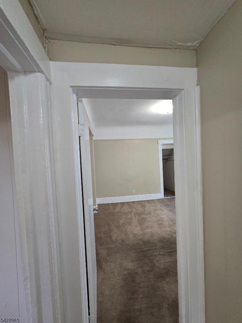 314 William St Property Photo 13