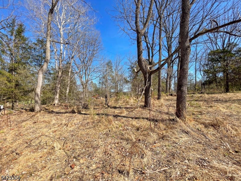 Ervey Rd Property Photo 4