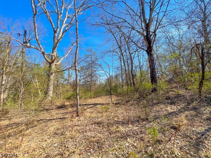 Ervey Rd Property Photo 6