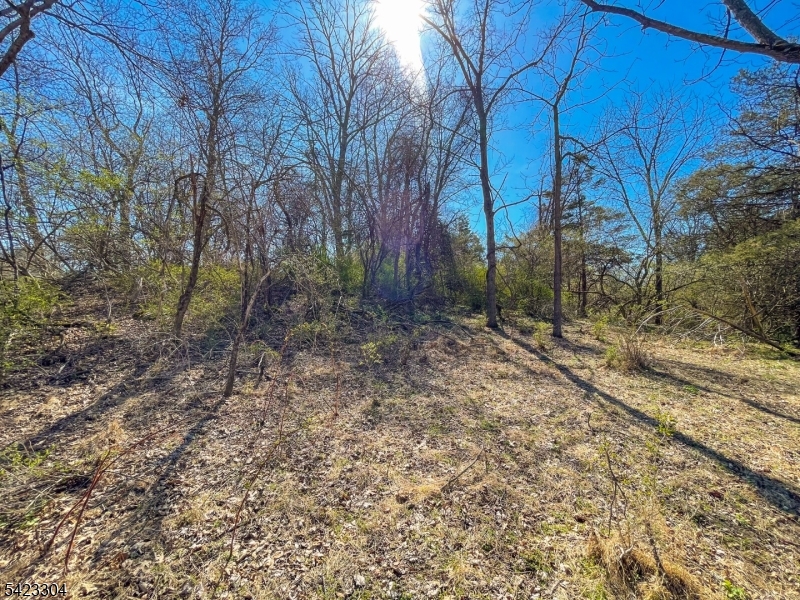 Ervey Rd Property Photo 7