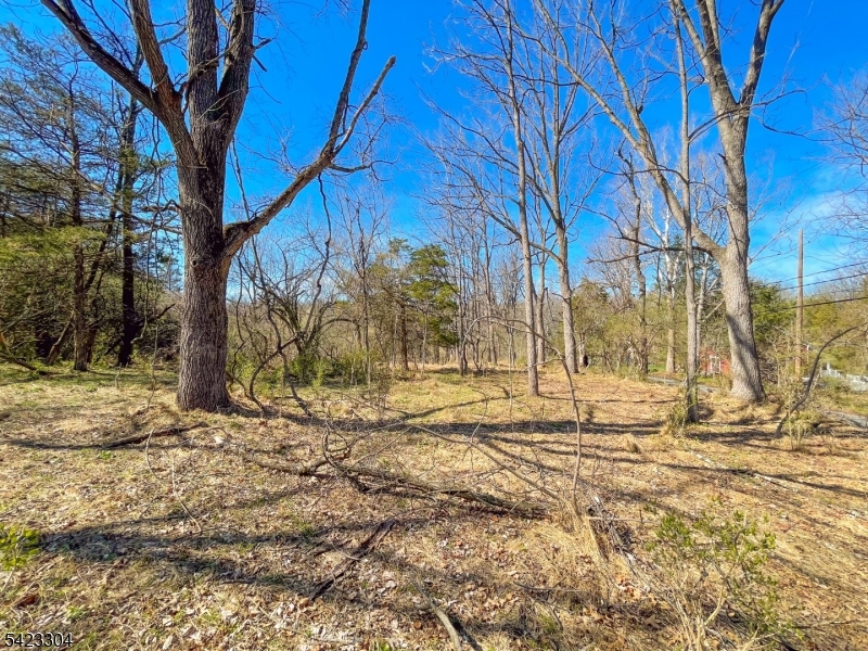 Ervey Rd Property Photo 8