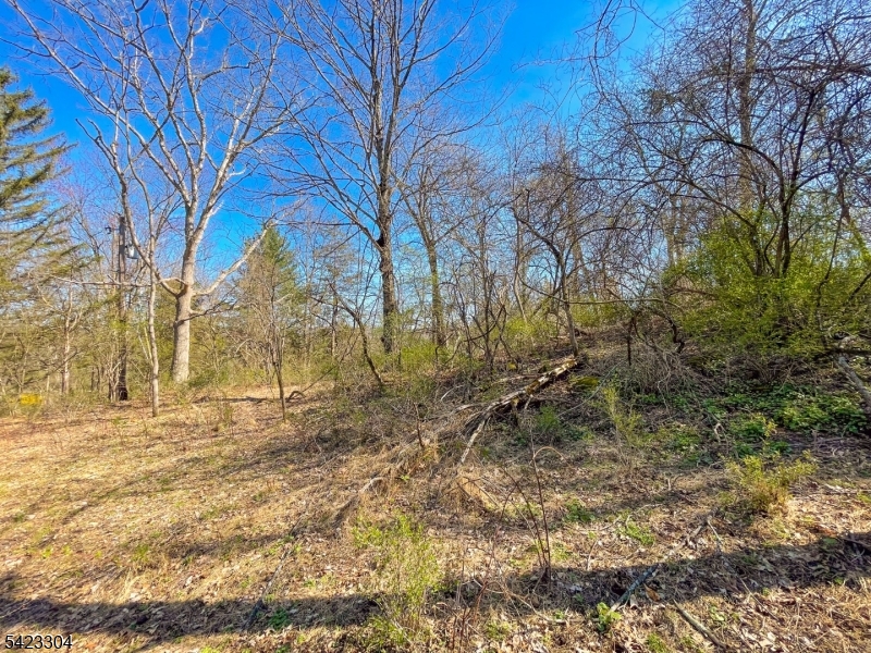 Ervey Rd Property Photo 9
